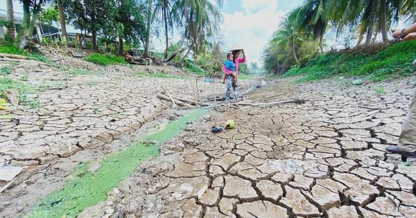 'Siêu El Nino' tác động mạnh đến Việt Nam thế nào?
