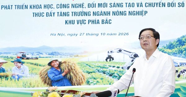 1 m3 gỗ keo 2 triệu đồng, qua chế biến tăng lên 2.500 USD