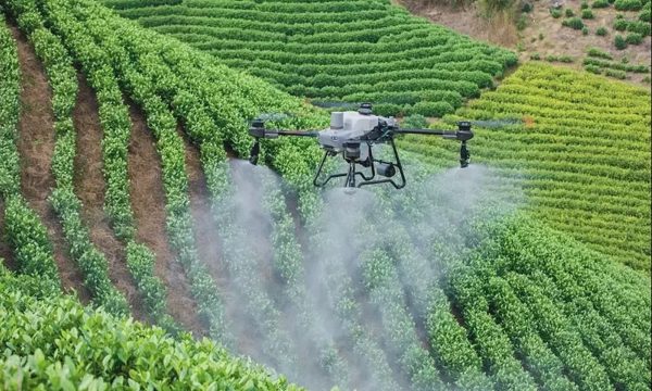 10.000 drone đang sử dụng tại Đồng bằng sông Cửu Long