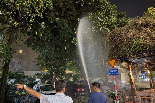 12 cây hoa sữa nở rộ quanh chung cư ở Hà Nội, người dân dùng vòi cao áp phun rụng