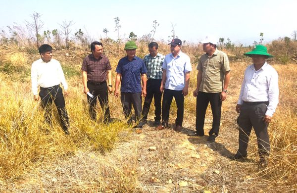 14 công trình 'mọc' trái phép trên đất cao su, nộp phạt nhưng chưa khắc phục