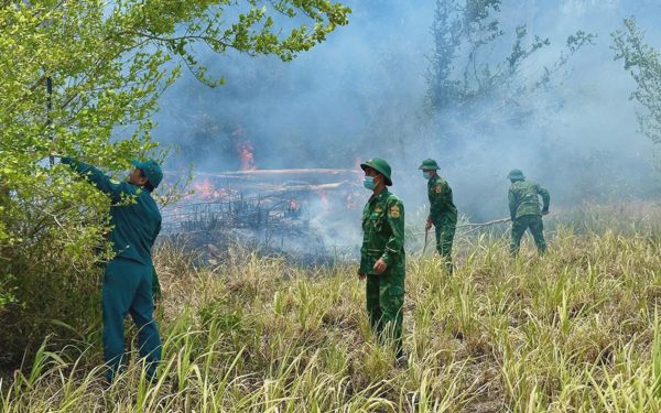 2 ngày, 2 vụ cháy rừng tại Đắk Lắk, 65ha rừng bị thiệt hại