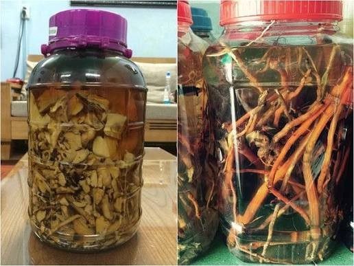 2 người ở Tuyên Quang tử vong sau khi uống một loại nước pha từ thực vật