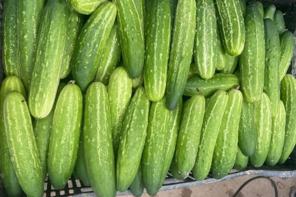 2 nhóm người nên thận trọng khi ăn dưa chuột