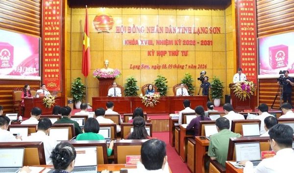 243 tỷ đồng