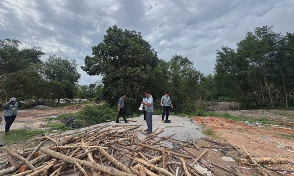 260 ha rừng phòng hộ Phú Quốc bị chiếm