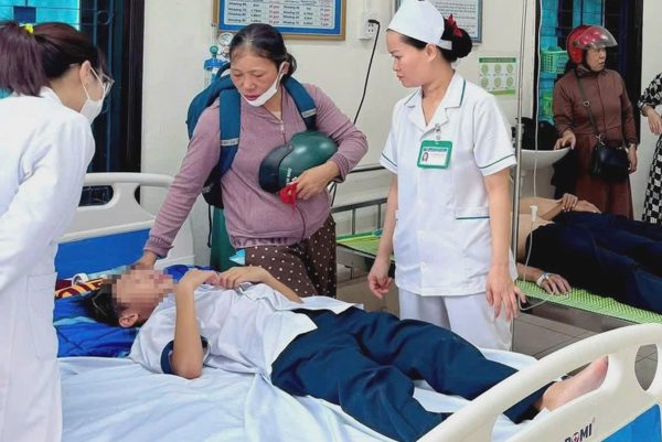 27 học sinh bị ong đốt nhập viện
