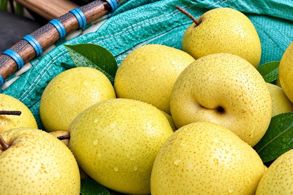 3 loại trái cây ‘toàn năng’ nhuận phổi, dưỡng gan, dạ dày
