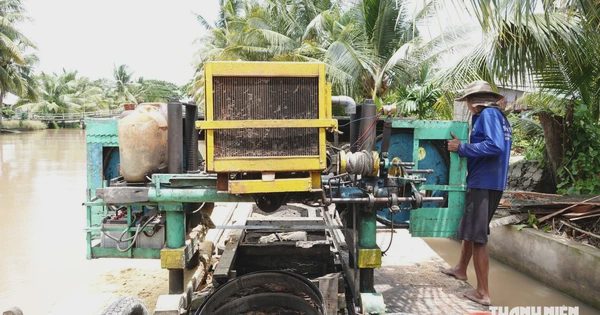 3 người miền Tây siêu hạng làm nghề xẻ gỗ trên sông nước