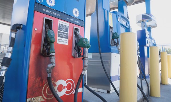 4 thượng nghị sĩ Cộng hòa lên án thỏa thuận diesel với Nga