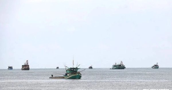 4 văn bản Cà Mau bị Thanh tra Chính phủ chỉ ra sai phạm quy định gì?
