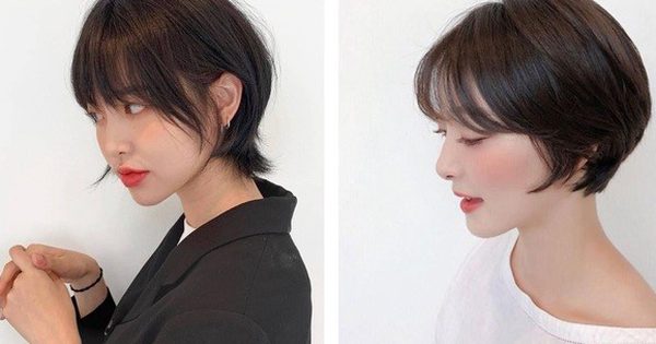 +5 kiểu tóc dành cho U.40 che tóc bạc đỉnh cao mà trẻ hơn cả chục tuổi