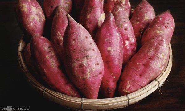 5 lợi ích khi ăn khoai lang ba lần một tuần