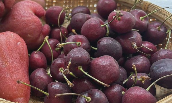 5 món có lợi cho người thận mạn tính
