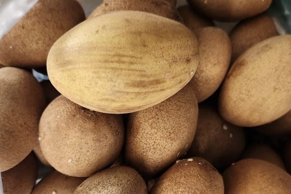 5 nhóm người nên thường xuyên ăn hồng xiêm để bổ sung dưỡng chất