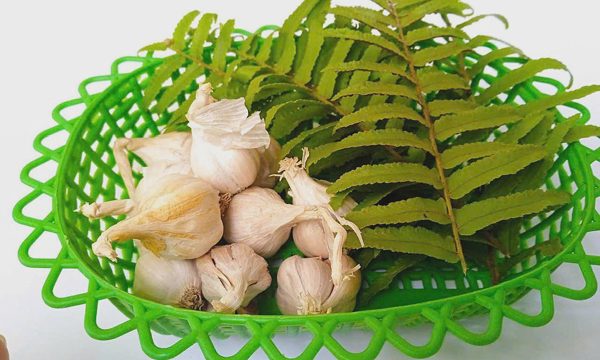 5 thói quen thường mắc khiến hơi thở có mùi