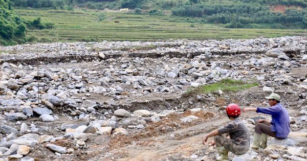 50 ha ruộng bị đất đá vùi lấp 2 năm chưa thể khắc phục vì 'quy trình’?