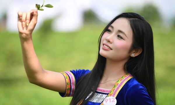 53 thí sinh Hoa hậu Việt Nam đeo gùi hái chè