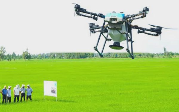 6.000 drone đang làm việc trên đồng ruộng Đồng bằng sông Cửu Long
