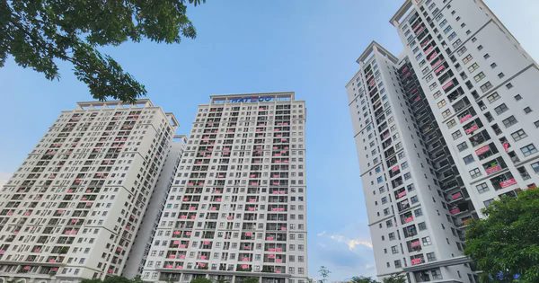 6 năm ‘om’ quỹ bảo trì: Hàng trăm cư dân chung cư Hateco Apollo đòi quyền lợi