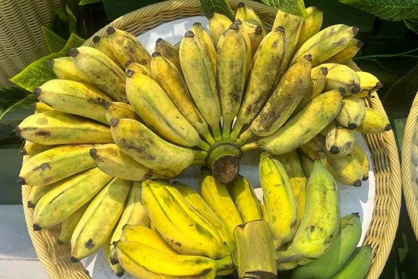 7 loại rau quả giàu kali hơn chuối, tốt cho tim, thận