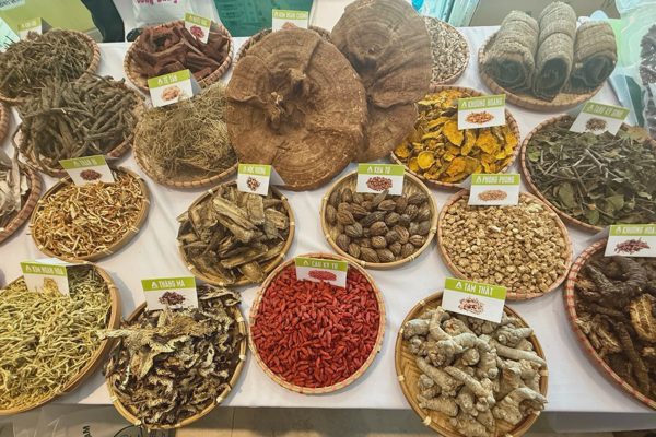 7 triệu lượt khám, chữa bệnh bằng y học cổ truyền