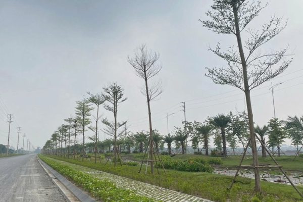 8 dự án lớn ở Ninh Bình phải xác định giá quyền sử dụng đất
