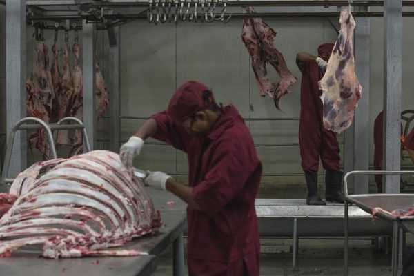 Ấn Độ thu hơn 5 tỷ USD từ xuất khẩu thịt trâu, Việt Nam là khách hàng lớn