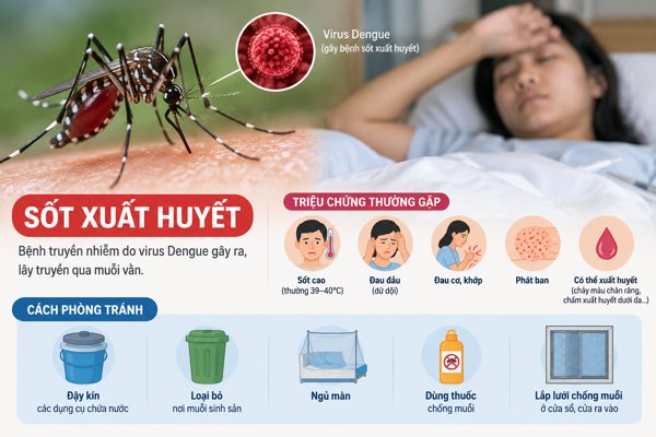 An Giang ghi nhận hơn 2.000 ổ dịch sốt xuất huyết