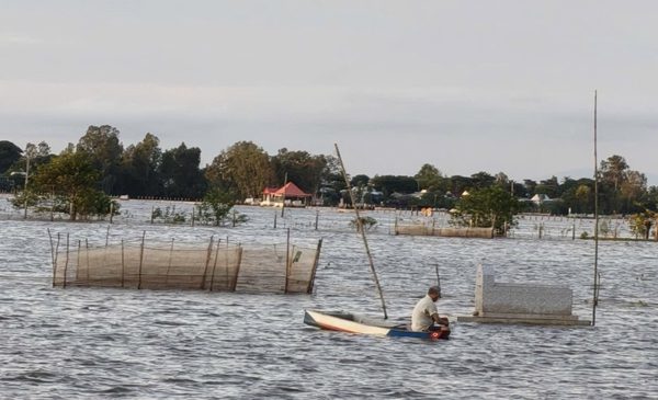 An Giang: Lũ đầu nguồn sông Mekong giảm dần, thuận lợi sản xuất vụ Đông Xuân