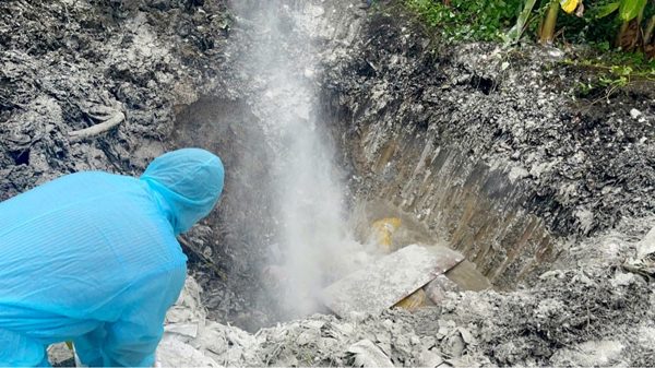 An Giang: Phát hiện 54 con lợn dương tính với vi-rút dịch tả lợn châu Phi