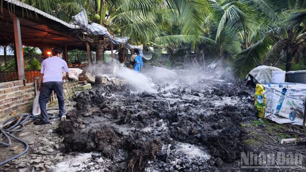 An Giang tăng cường phòng chống dịch tả lợn châu Phi