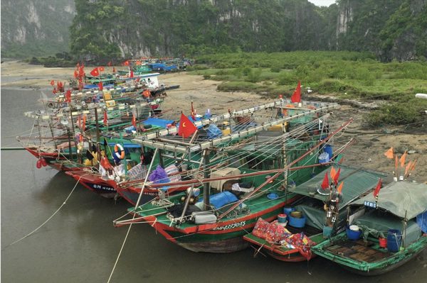 Ảnh hưởng bão số 4, Quảng Ninh tạm ngừng cấp phép tàu ra khơi