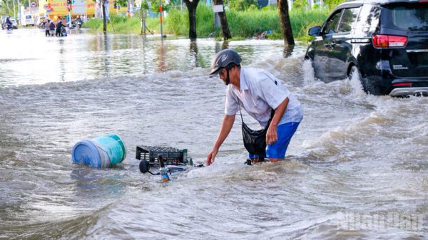 [Ảnh] Khu nam Thành phố Hồ Chí Minh mênh mông nước trong ngày triều cường đạt đỉnh