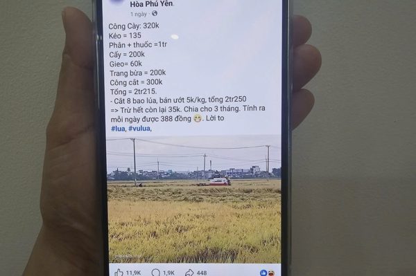 Anh nông dân chia sẻ vụ lúa lãi… 35.000 đồng, 2,5 triệu người xem mà khóc