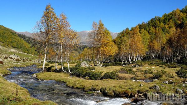 [Ảnh] Thu vàng Kavkaz ở miền nam nước Nga
