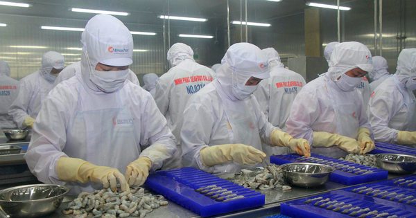 Áp lực 327.200 tấn tôm trước thách thức El Nino, dịch bệnh