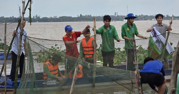 Áp thấp nhiệt đới ảnh hưởng thế nào đến mực nước lũ sông Mekong?