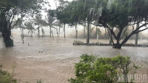 Áp thấp nhiệt đới gây mưa lớn, nguy cơ lũ từ Thanh Hóa đến Đà Nẵng