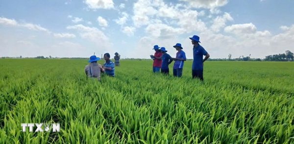 APEC 2027: Kết nối công nghệ, thúc đẩy nông nghiệp xanh