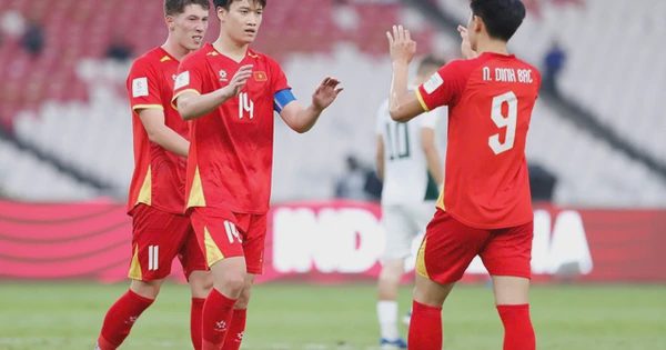 Asian Cup có thể bị hoãn, Việt Nam phải làm gì để không bị văng khỏi tốp 100 thế giới?