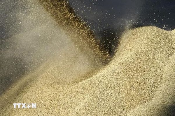 "Ba chân kiềng" đảm bảo an ninh lương thực trong tương lai