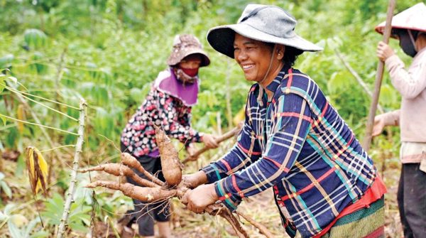 Bà đỡ Câu lạc bộ sắn 100 triệu