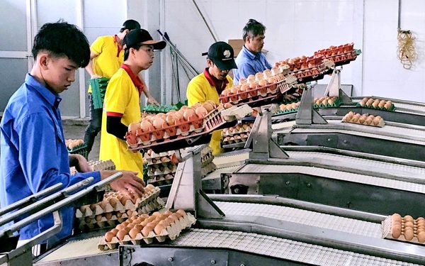 Ba Huân vướng nợ nần: Gia đình bà Ba Huân nói 'đã bán hết cổ phần, không liên quan các khoản nợ'