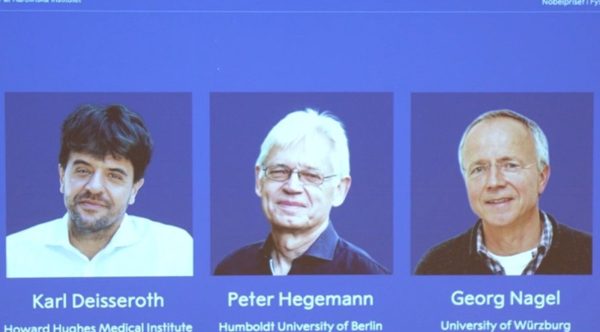 Ba nhà khoa học giành giải Nobel Y học 2026 nhờ ‘công tắc’ ánh sáng