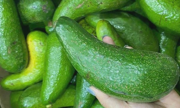 Ba sai lầm thường gặp khi giảm mỡ nội tạng