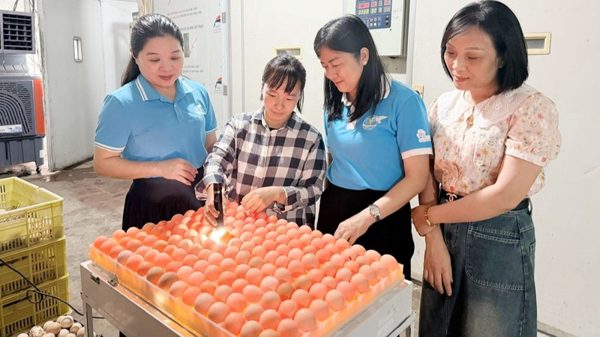 Bắc Ninh: Bổ sung 100 tỷ đồng nguồn vốn ngân sách hỗ trợ phụ nữ khởi nghiệp