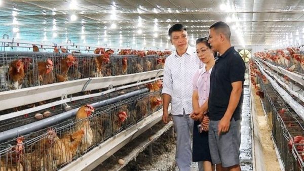 Bắc Ninh phát triển kinh tế tập thể hiện đại, hiệu quả