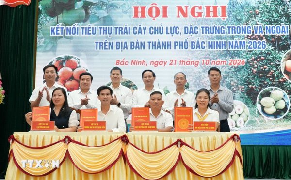 Bắc Ninh xúc tiến, kết nối thị trường tiêu thụ hơn 118.000 tấn trái cây