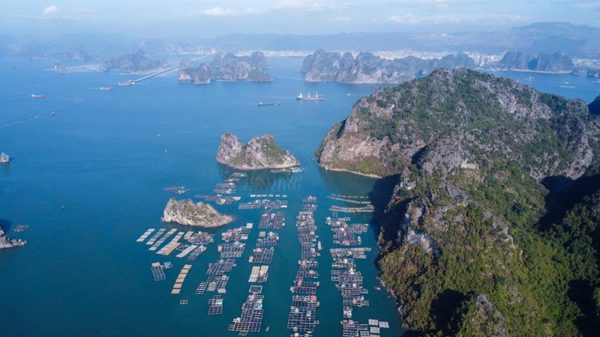 Bài 3: Mở rộng không gian, nâng cao chất lượng phát triển
